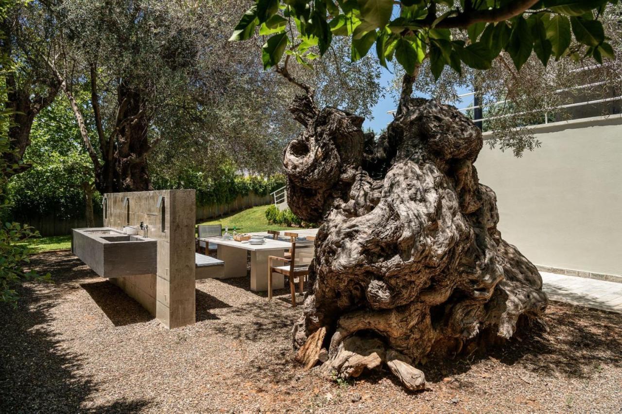 Villa 7 Περιβόλια Εξωτερικό φωτογραφία